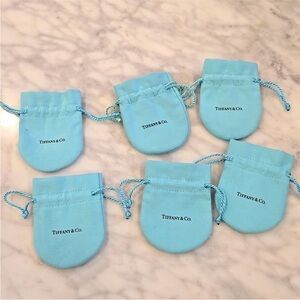 Tiffany & Co. Aqua Blue Jewelry Pouches